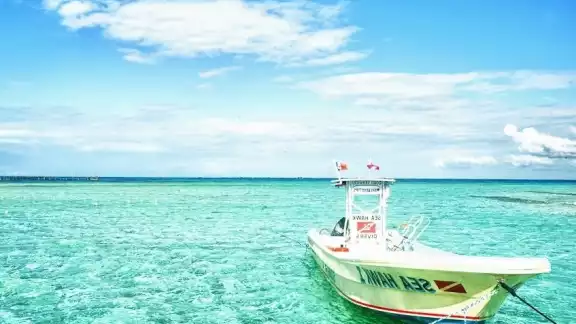 Foto: TripAdvisor Foto: TripAdvisor