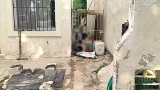 Tragedia en Campeche: Truenos asustan a perro y muere suspendido de su cadena
