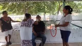 ¿Aleteo de abejas contra la tos y el asma? Mujeres ofrecen singular terapia en Calkiní