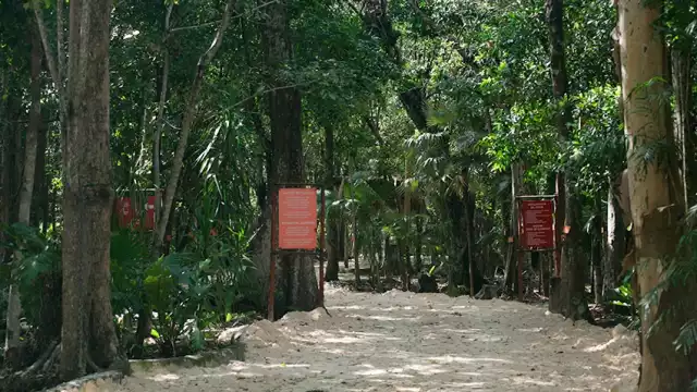 La belleza del jardín es incomparable