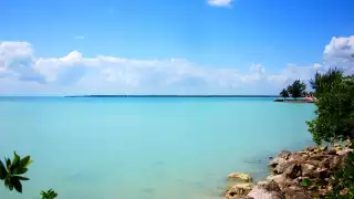 El descubrimiento fue realizado por un grupo de científicos que trabajaban en la zona desde el 2021