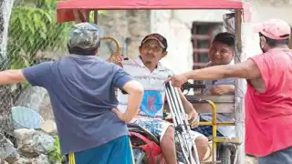 la Lengua de Señas Maya Yucateca (LSMY) fue creada en 1930 por una mujer para comunicarse con su hijo Teodoro Colli