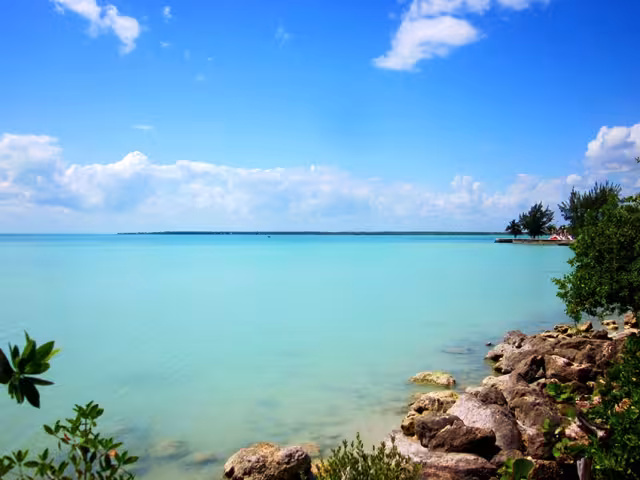 El descubrimiento fue realizado por un grupo de científicos que trabajaban en la zona desde el 2021