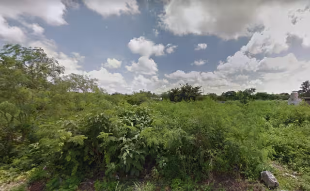 La denuncia fue interpuesta en contra de los loteros