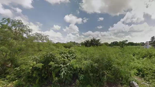 La denuncia fue interpuesta en contra de los loteros