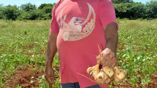 El proyecto busca apoyar a agricultores de la localidad.