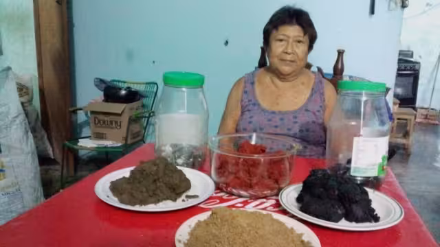 En Yucatán, se le denomina “recado” a una preparación (en pasta o polvo) producto de la molienda