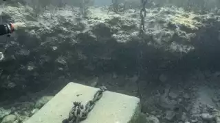 Hasta el día de hoy nadie de la CFE se ha ocupado por colocar este muerto en su lugar