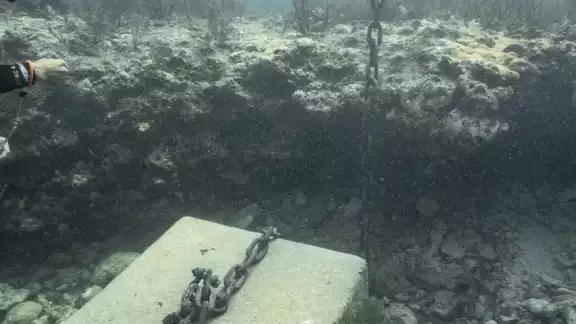 Hasta el día de hoy nadie de la CFE se ha ocupado por colocar este muerto en su lugar Hasta el día de hoy nadie de la CFE se ha ocupado por colocar este muerto en su lugar