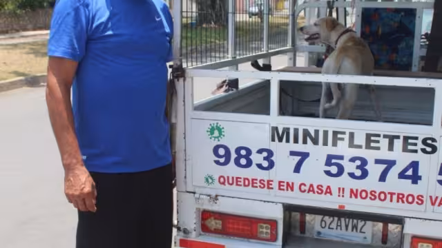 Mayormente realiza servicios de traslado de perros, aunado a los fletes de muebles