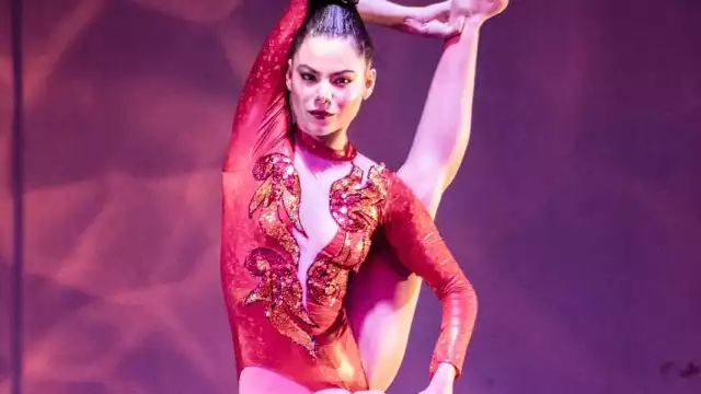 Participarán más de 40 artistas circenses de Australia, Canadá, España y México