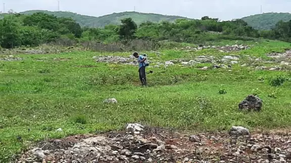 La chihua es una calabaza criolla, conocida en lengua maya como X-top