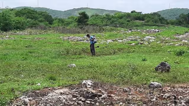La chihua es una calabaza criolla, conocida en lengua maya como X-top
