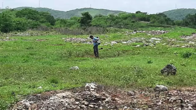La chihua es una calabaza criolla, conocida en lengua maya como X-top