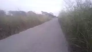 Un maestro murió al impactar su auto contra un camión