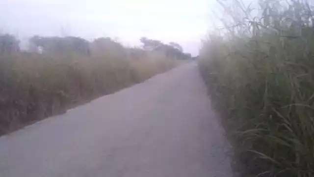 Un maestro murió al impactar su auto contra un camión