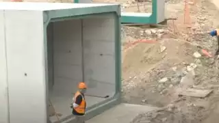 Hasta el momento, se han generado 77 mil 637 empleos relacionados con el Tren Maya