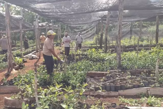 Actualmente, no hay ninguna institución encargada de determinar si hay residuos tóxicos en el agua, vegetales y otros alimentos