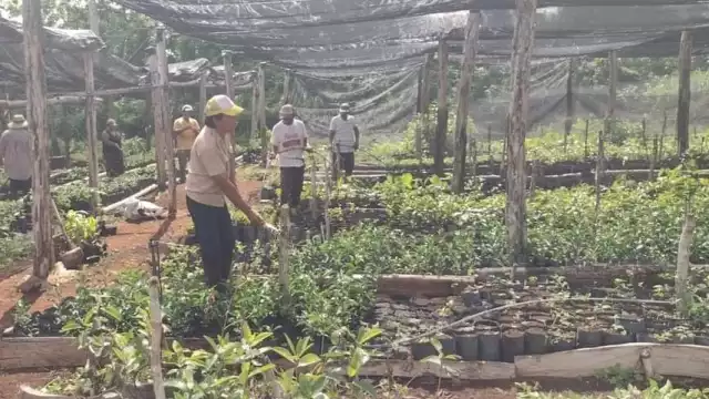 Actualmente, no hay ninguna institución encargada de determinar si hay residuos tóxicos en el agua, vegetales y otros alimentos
