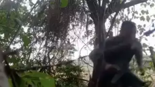 CJNG ataca distintas regiones de Tepalcatepec, Michoacán