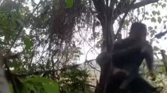 Hasta el momento se ha reportado un herido resultado de los enfrentamientos. Foto: CP Video Hasta el momento se ha reportado un herido resultado de los enfrentamientos. Foto: CP Video