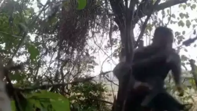 Hasta el momento se ha reportado un herido resultado de los enfrentamientos. Foto: CP Video