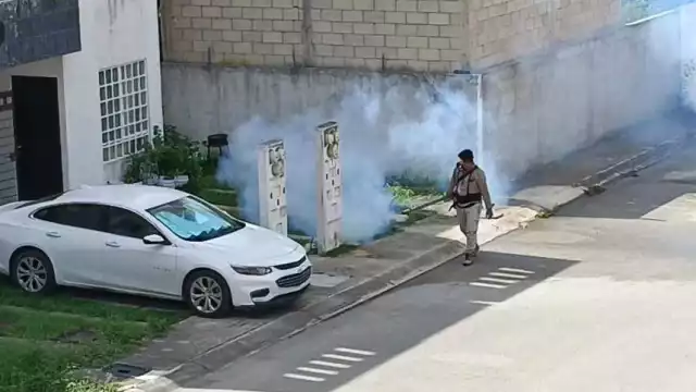 La zonas de Villas del Sol y Palmas 1 tienen la mayor prevalencia de contagios de dengue