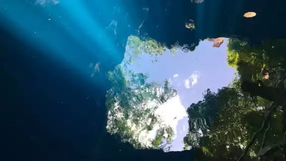 Hoy a las 20:00 horas se estrena el documental “Cenote”. Hoy a las 20:00 horas se estrena el documental “Cenote”.