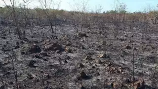 Autoridades exhortan a no quemar basura ni tirar basura en los tramos carreteros de Yucatán