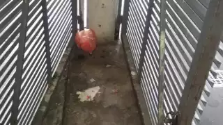 Foto: Irene Barradas