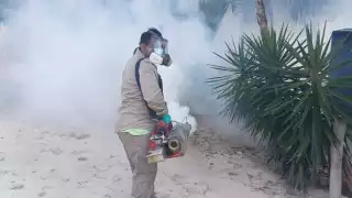 Todos los días por las noches, cientos de moscos ingresan a los domicilios