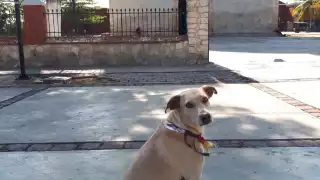 Foto. Enrique Sabido Araujo