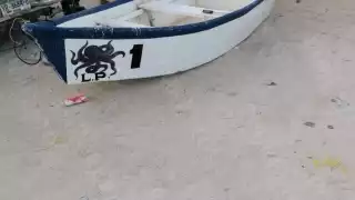 FOTOS: Alejandro Collí