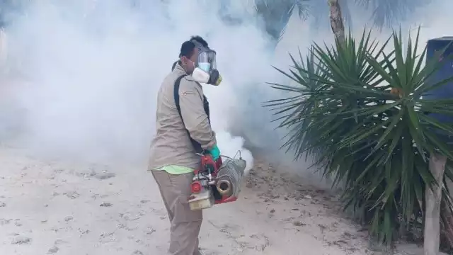 Todos los días por las noches, cientos de moscos ingresan a los domicilios