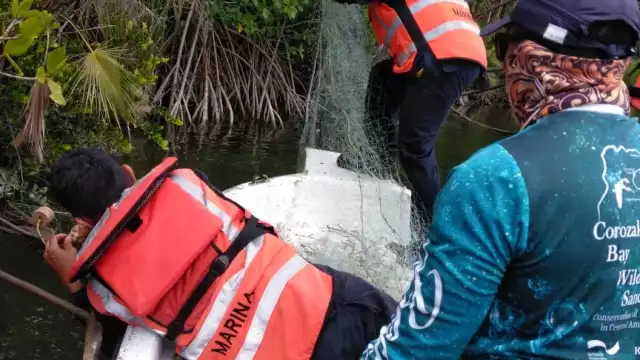 Semar retira redes de pesca ilegales en el Río Hondo al sur de Quintana Roo