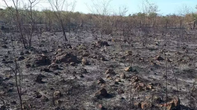 Autoridades exhortan a no quemar basura ni tirar basura en los tramos carreteros de Yucatán
