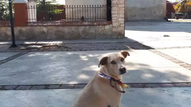 Foto. Enrique Sabido Araujo