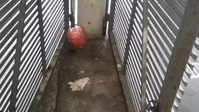 Foto: Irene Barradas