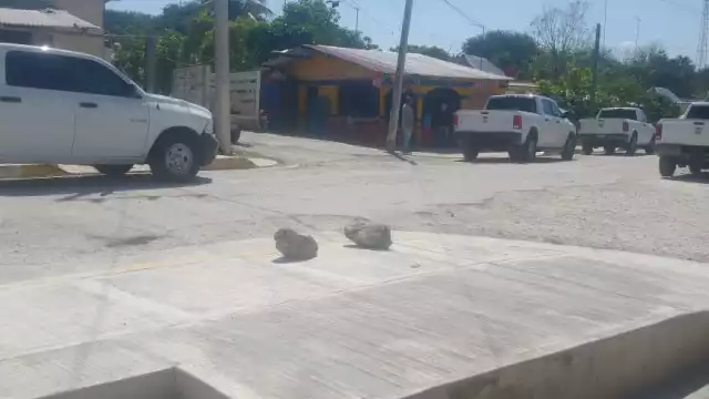 Después de un operativo, personal de la FGE localiza el cuerpo de un hombre en una fosa