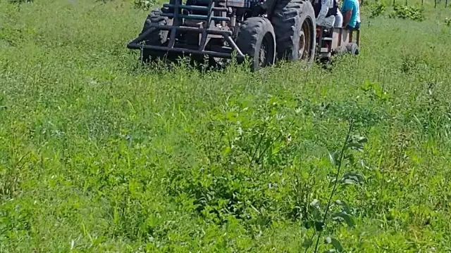 Los campesinos le ya habían solicitado vigilancia para el lugar en donde Juárez Valenzuela fue asesinada tras varios atentados