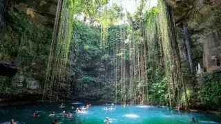 Tres cenotes de Yucatán que no debes perderte en Semana Santa