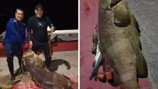 Este es el pez más grande en su tipo, que se ha capturado en lo que va del año en Coatzacoalcos, al sur de Veracruz
