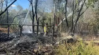 Persisten incendios forestales en colonias irregulares de Quintana Roo