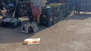 El color y tamaño del limón ha afectado en sus ventas