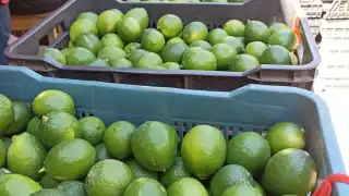 A los productores les tomó por sorpresa el nuevo costo del fruto, pero esperan que mejore antes de que finalice la Cuaresma
