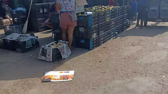 El color y tamaño del limón ha afectado en sus ventas El color y tamaño del limón ha afectado en sus ventas