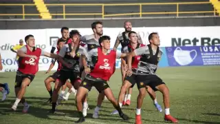 Las buenas noticias para los yucatecos es que las fieras no han sabido hacer de su casa un lugar infranqueable