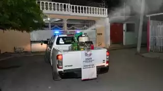 Hasta el momento no hay casos de dengue o chikungunya