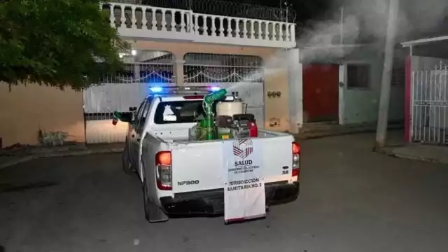 Hasta el momento no hay casos de dengue o chikungunya