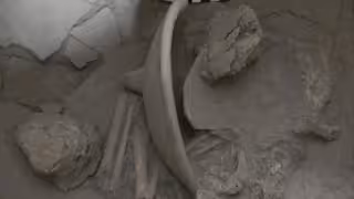 Restos de infantes y ofrendas cerámicas descubiertos en Cansacbé, Campeche